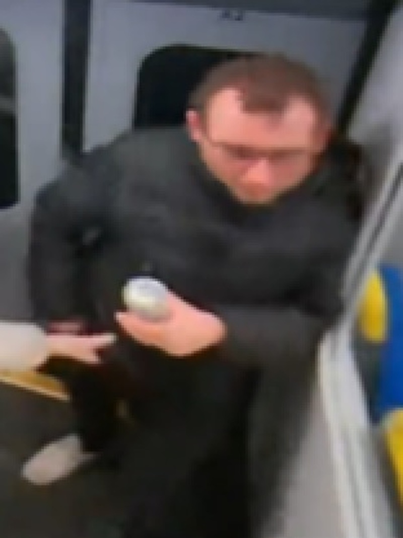 Other image for Police investigation launched over train fight